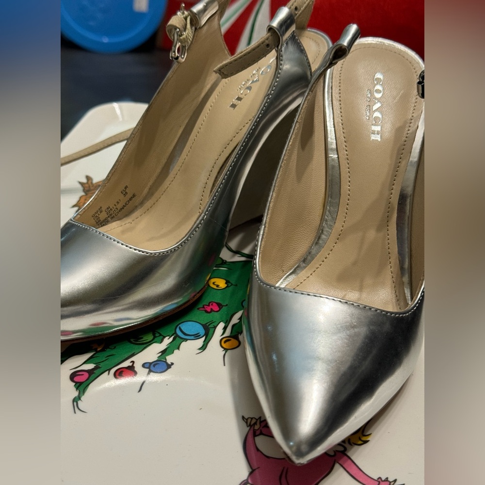 Silver, pointed toe, wedge heel